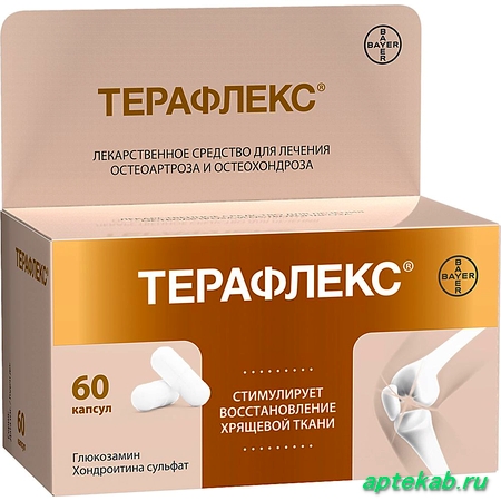 Терафлекс капс. 60 шт 24915  Екатеринбург
